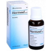 Hormeel